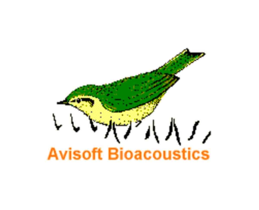 Avisoft Bioacoustics - 野聲環境生態 / 野森國際有限公司